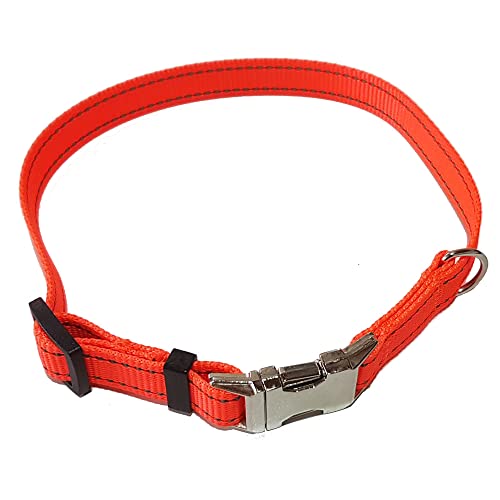 Activity4Dogs Hundehalsband reflektierend Signal-orange stufenlos verstellbar von Activity4Dogs