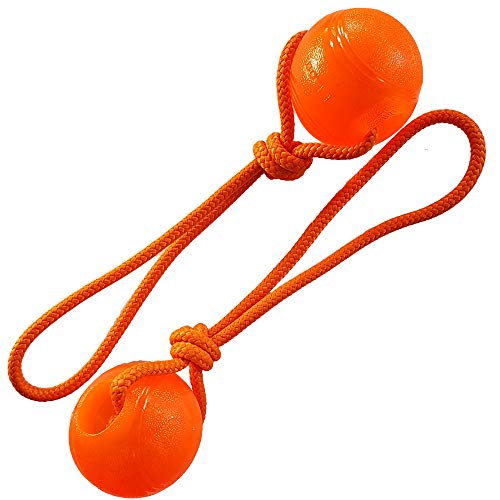 Activity4Dogs Hundespielzeug für große Hunde Ball mit Schnur 2er Set schwimmfähig, robust, 76 mm (orange) von Activity4Dogs