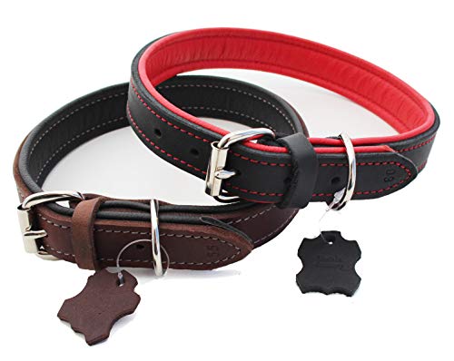 Activity4Dogs Luxus Hundehalsband Echt-Leder für mittelgroße Hunde 2,5 cm breit gepolstert 5-Fach verstellbar Made IN Germany (M1 braun-schwarz) von Activity4Dogs