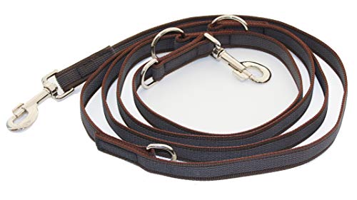 Activity4Dogs Anti-Slip Hundeleine aus Nylon | rutschfest | 2,80 m lang | 4-Fach verstellbare Führleine | für mittelgroße und große Hunde | Braun | Made in Germany Activity4Dogs Anti-Slip Hundeleine aus Nylon | rutschfest | 2,80 m lang | 4-Fach verstellbare Führleine | für mittelgroße und große Hunde | Braun | Made in Germany von Activity4Dogs