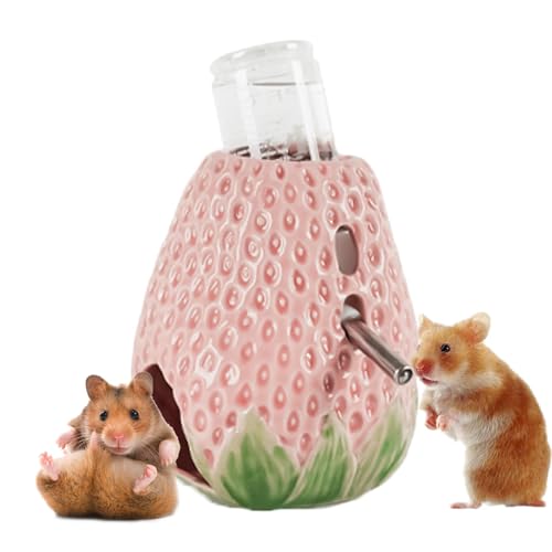 Acunny Chinchilla Wasserflasche, Hamsterschale aus Keramik | Wasserflaschenhalter aus Keramik | Zubehör für kleine Haustierkäfig, Futtermittel von Acunny