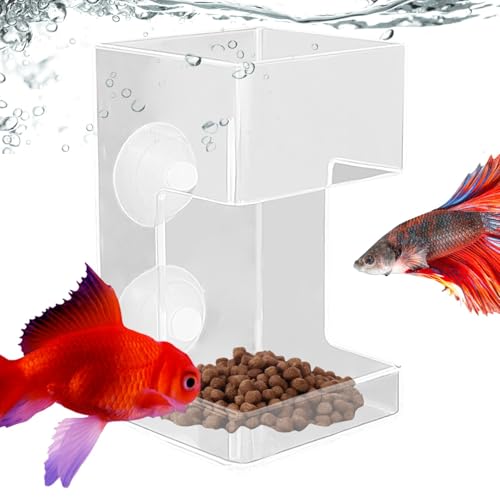 Acunny Fisch-Fisch-Futterstation für Aquarien, Futterspender für Fische, mit Saugnapf – Futterspender für Fisch-Futterspender mit Saugnapf – Futter für gelöschte Tabletts, von Acunny