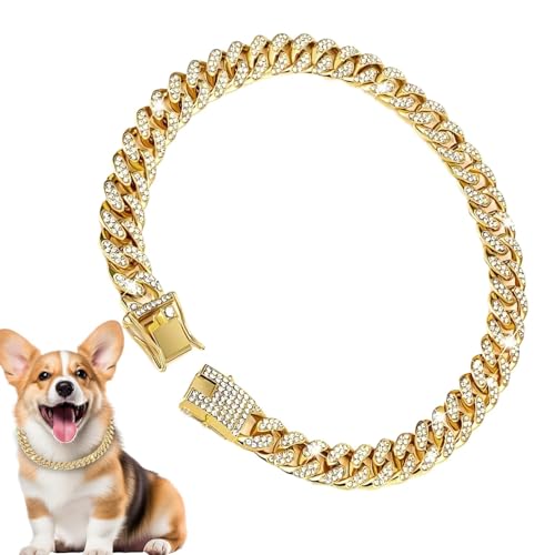 Acunny Goldkette für Hunde, Goldkette für Hunde | Hundehalsband 9,84 Zoll Kette für Metall mit Schnalle, Halsband für Haustiere Acunny Goldkette für Hunde, Goldkette für Hunde | Hundehalsband 9,84 Zoll Kette für Metall mit Schnalle, Halsband für Haustiere von Acunny