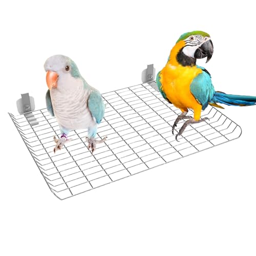 Acunny Sitzstange - Edelstahl Vogel Sitzstangen Für Käfig - Spielzeug Zur Bewegung Und Beschäftigung Für Kleine, Mittelgroße Und Große Vogelarten Acunny Sitzstange - Edelstahl Vogel Sitzstangen Für Käfig - Spielzeug Zur Bewegung Und Beschäftigung Für Kleine, Mittelgroße Und Große Vogelarten von Acunny