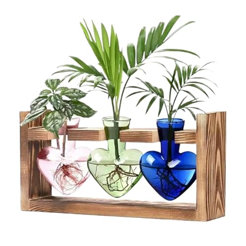 Acunny Terrarien aus Glas für Hydroponik | Pflanze des Terrariums Heart Shape Glass Vase | Tischdeko mit Holzständer, Terrarium zur Dekoration von Garten, Hydrokultur von Acunny