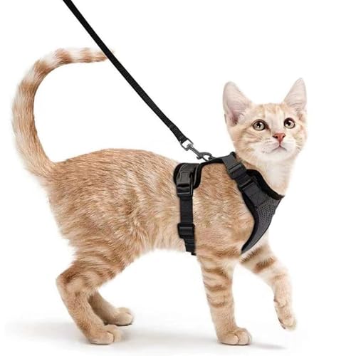 Ausbruchsicheres Katzengeschirr mit Leine, Set zum Spazierengehen, Kitty, kleines Hundegeschirr mit Leine, verstellbare reflektierende Streifen, Westengeschirr für kleine, mittelgroße Katzen, XS Ausbruchsicheres Katzengeschirr mit Leine, Set zum Spazierengehen, Kitty, kleines Hundegeschirr mit Leine, verstellbare reflektierende Streifen, Westengeschirr für kleine, mittelgroße Katzen, XS von Aczyqws