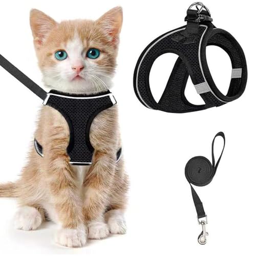 Katzengeschirr und Leine, Set zum Spazierengehen, verstellbar, weich, Kätzchen-Geschirre und Leine, Set Weste mit reflektierendem Streifen für extra kleine Katzen, ausbruchsicher, bequemes Katzengeschirr und Leine, Set zum Spazierengehen, verstellbar, weich, Kätzchen-Geschirre und Leine, Set Weste mit reflektierendem Streifen für extra kleine Katzen, ausbruchsicher, bequemes von Aczyqws