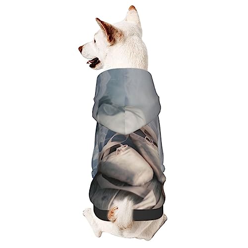 Hunde-Kapuzenpullover mit Ballettschuh, Haustierkleidung, Pullover mit Mütze, weicher Mantel für kleine, mittelgroße und große Hunde von Adasomu