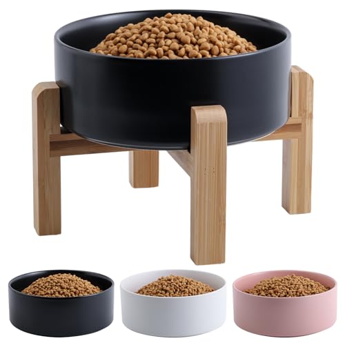 Addggo Erhöhter Futternapf aus Keramik für kleine und mittelgroße Rassen, mit Ständer, 15,2 cm, 3,6 Tassen, rutschfest, schwer, Schwarz Addggo Erhöhter Futternapf aus Keramik für kleine und mittelgroße Rassen, mit Ständer, 15,2 cm, 3,6 Tassen, rutschfest, schwer, Schwarz von Addggo