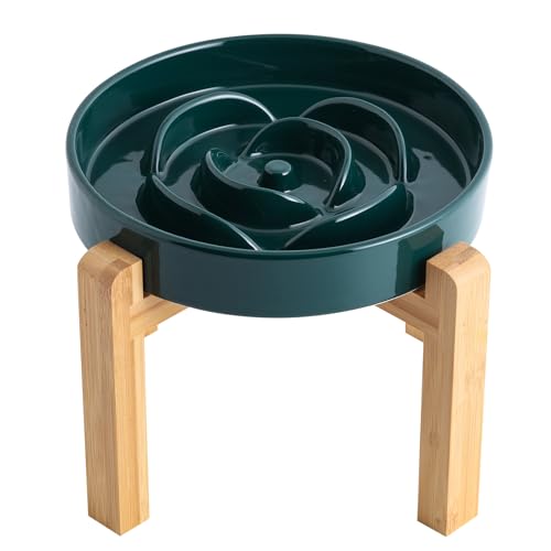 Addogyy Grüner erhöhter Futternapf aus Keramik, langsamer Futternapf mit Holzständer für kleine, mittelgroße und große Hunde, 22 cm langer Hundenapf zum Verlangsamen des Fressens, moderner, schwerer, Addogyy Grüner erhöhter Futternapf aus Keramik, langsamer Futternapf mit Holzständer für kleine, mittelgroße und große Hunde, 22 cm langer Hundenapf zum Verlangsamen des Fressens, moderner, schwerer, von Addogyy