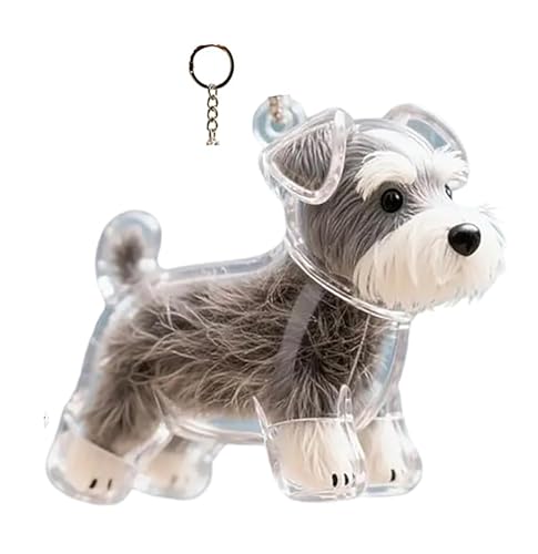 Hundehaarsammler Schlüsselanhänger Charm Memorial Aufbewahrungsbox Tierhaare Memorial Andenken Transparent Niedlich Schlüsselanhänger Haustier Haar Andenken Box für Hund Fell Memorial von Aderpmin