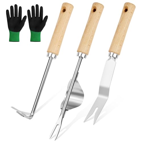 Adiwo 4 Stück Manueller Unkrautjäter, Unkrautstecher Edelstahl für zum Graben, Umpflanzen, Jäten, zum Entfernen von Unkraut Pflanzen von, Garten Manueller Weeder Wurzeljäter Gartengerät von Adiwo