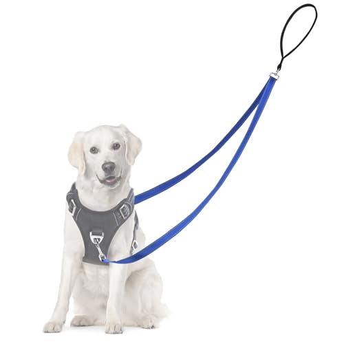 Adiwo Anti Zug Hundegeschirr, Keine Verwicklung Reflektierend Doppelleine, für große mittlere Hunde Anti-Zieh Geschirr Hundeleine, Blau Adiwo Anti Zug Hundegeschirr, Keine Verwicklung Reflektierend Doppelleine, für große mittlere Hunde Anti-Zieh Geschirr Hundeleine, Blau von Adiwo