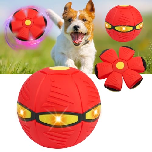 Adiwo Hundespielzeug Ball, Leuchten Fliegend Untertasse Ball Spielzeug für Hunde Hundespielzeug Ball Fliegender Ball Interaktives Fliegend Untertassen Ball Geeignet für Drinnen und Draußen Rot Adiwo Hundespielzeug Ball, Leuchten Fliegend Untertasse Ball Spielzeug für Hunde Hundespielzeug Ball Fliegender Ball Interaktives Fliegend Untertassen Ball Geeignet für Drinnen und Draußen Rot von Adiwo