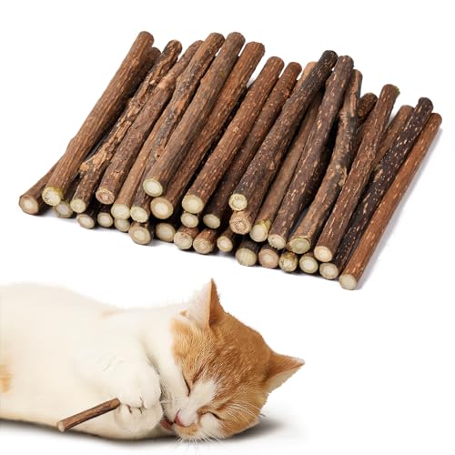 Adiwo Katzenminze Sticks,32 Stück Matatabi Katzensticks Katzenminzen Spielzeug Matatabi Stick Katzen Sticks Katzenminze Zähne Reinigung Dental Katzenspielzeug für Katzen Zahnpflege 6-8mm von Adiwo