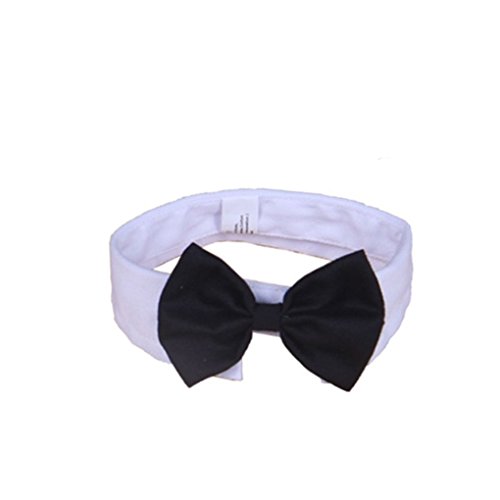 Haustier-Fliege Halsband Hund Katze Welpen Bowknot Krawatte Baumwolle Verstellbare Krawatte - S - Schwarz + Weiß von Adoorniequea