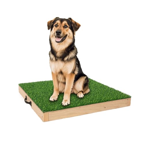 Adorepaw Hundetrainingsplattform für große Hunde, Platzbretter für Hundetraining, tragbare Agility-Trainingsgeräte für Hunde, langlebige Jagdhundeplattform für den Innen- oder Außenbereich Adorepaw Hundetrainingsplattform für große Hunde, Platzbretter für Hundetraining, tragbare Agility-Trainingsgeräte für Hunde, langlebige Jagdhundeplattform für den Innen- oder Außenbereich von Adorepaw