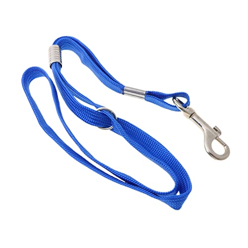 Adrosstoller Hundepflegeschlaufe, strapazierfähig, Nylon, Länge 48,3 cm, zum Baden und Pflegen von Hunden Adrosstoller Hundepflegeschlaufe, strapazierfähig, Nylon, Länge 48,3 cm, zum Baden und Pflegen von Hunden von Adrosstoller