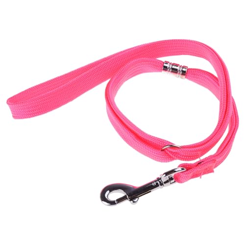 Adrosstoller Hundepflegeschlaufe, strapazierfähig, Nylon, Länge 48,3 cm, zum Baden und Pflegen von Hunden Adrosstoller Hundepflegeschlaufe, strapazierfähig, Nylon, Länge 48,3 cm, zum Baden und Pflegen von Hunden von Adrosstoller