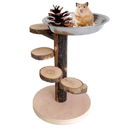 Adsfvs Hamsterleiter | Nagerleiter aus Holz mit Spielplatz für Käfigausstattung,Spiel- & Futterspielzeug Mit Nagestation, Gehegedekoration Für Eichhörnchen, Chinchilla Und Kleintiere Adsfvs Hamsterleiter | Nagerleiter aus Holz mit Spielplatz für Käfigausstattung,Spiel- & Futterspielzeug Mit Nagestation, Gehegedekoration Für Eichhörnchen, Chinchilla Und Kleintiere von Adsfvs