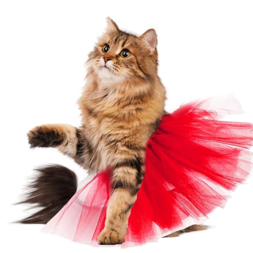 Adsfvs Hunderock, Hunde-Tutu für kleine Hunde | Welpe Rock Hund Tutu Kleid - Katzenkleid, Tüll-Tutu, Hunde-Ballerina-Kostüm, Spitzenbekleidung, Haustier-Outfit für Geburtstag, Hochzeit, Foto-Requisite Adsfvs Hunderock, Hunde-Tutu für kleine Hunde | Welpe Rock Hund Tutu Kleid - Katzenkleid, Tüll-Tutu, Hunde-Ballerina-Kostüm, Spitzenbekleidung, Haustier-Outfit für Geburtstag, Hochzeit, Foto-Requisite von Adsfvs