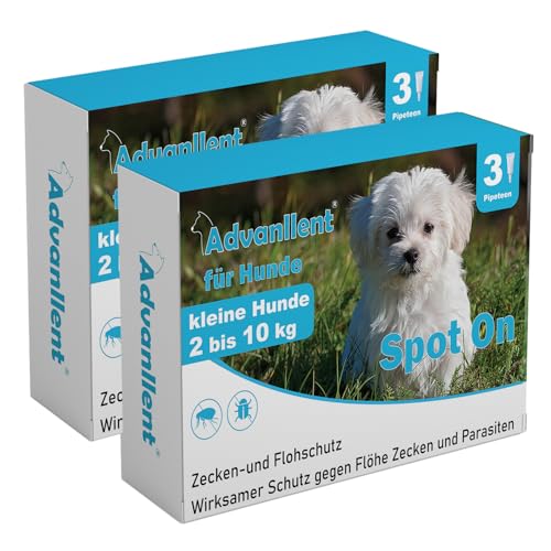 Advanllent Zeckenschutz für Hunde, Spot On Hund, Zeckenmittel für kleine Hunde 2 bis 10 kg, Hunde flohmittel entwurmungsmittel für Hunde, gegen Flöhe & Zecken, 6 Pipetten Advanllent Zeckenschutz für Hunde, Spot On Hund, Zeckenmittel für kleine Hunde 2 bis 10 kg, Hunde flohmittel entwurmungsmittel für Hunde, gegen Flöhe & Zecken, 6 Pipetten von Advanllent