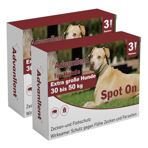 Advanllent Zeckenschutz für Hunde 6 Pipetten, Spot On Hund, Zeckenmittel für Extra große Hunde 30 bis 50 kg, Hunde flohmittel entwurmungsmittel für Hunde, gegen Flöhe & Zecken Advanllent Zeckenschutz für Hunde 6 Pipetten, Spot On Hund, Zeckenmittel für Extra große Hunde 30 bis 50 kg, Hunde flohmittel entwurmungsmittel für Hunde, gegen Flöhe & Zecken von Advanllent