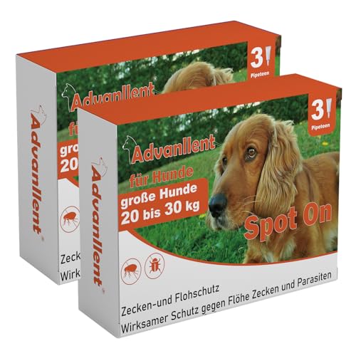 Advanllent Zeckenschutz für Hunde 6 Pipetten, Spot On Hund, Zeckenmittel für große Hunde 20 bis 30 kg, Hunde flohmittel entwurmungsmittel für Hunde, gegen Flöhe & Zecken Advanllent Zeckenschutz für Hunde 6 Pipetten, Spot On Hund, Zeckenmittel für große Hunde 20 bis 30 kg, Hunde flohmittel entwurmungsmittel für Hunde, gegen Flöhe & Zecken von Advanllent