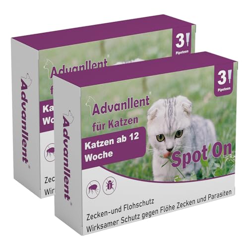 Advanllent Zeckenschutz für Katzen, Spot On Katzen, Zeckenmittel für Katze, Katze flohmittel entwurmungsmittel für Katzen, gegen Flöhe & Zecken 6 Pipetten Advanllent Zeckenschutz für Katzen, Spot On Katzen, Zeckenmittel für Katze, Katze flohmittel entwurmungsmittel für Katzen, gegen Flöhe & Zecken 6 Pipetten von Advanllent