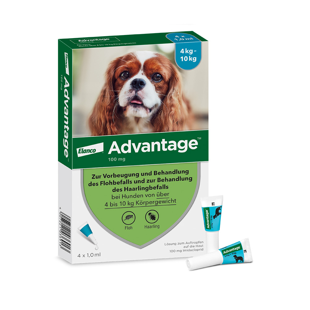 Advantage® 100 für Hunde, von 4 bis 10 kg - Sparpaket: 2 x 4 Pipetten x 1,0 ml von Advantage