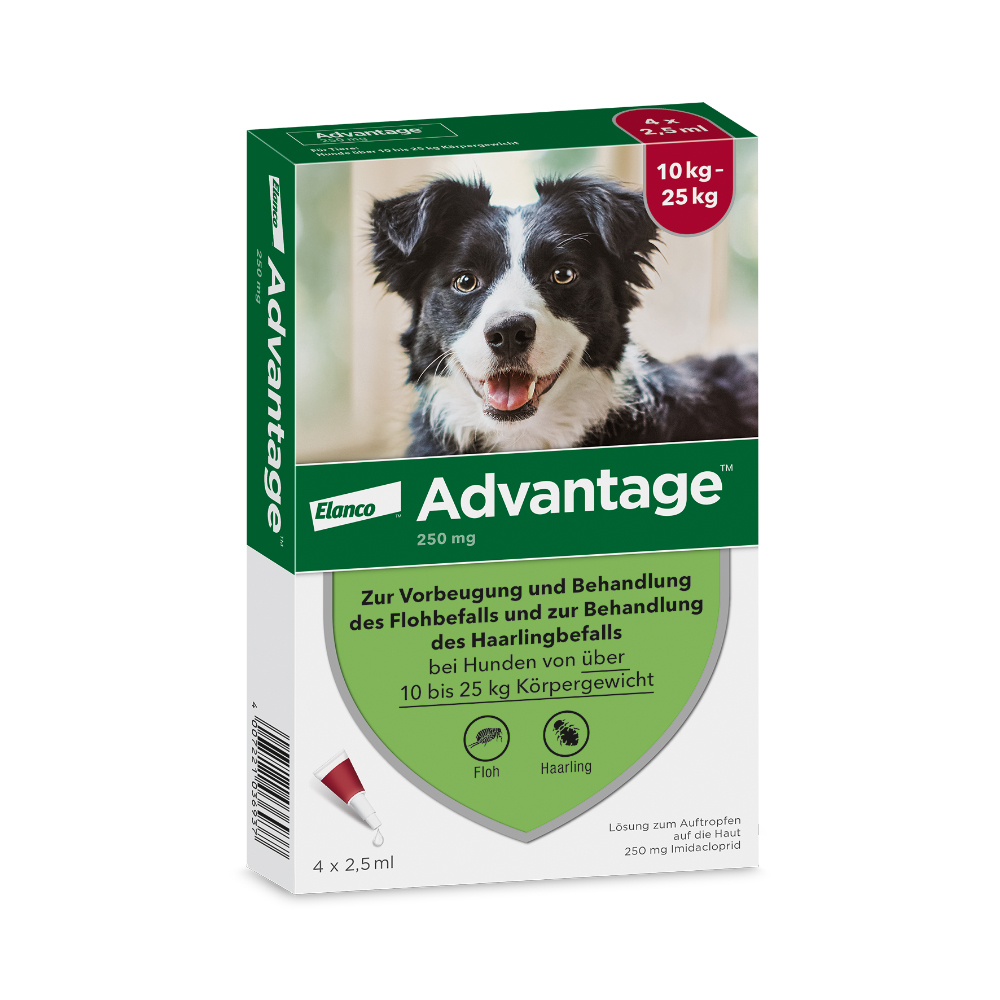 Advantage® 250 für Hunde, von 10 bis 25 kg Sparpaket: 2 x 4 Pipetten x 2,5 ml von Advantage