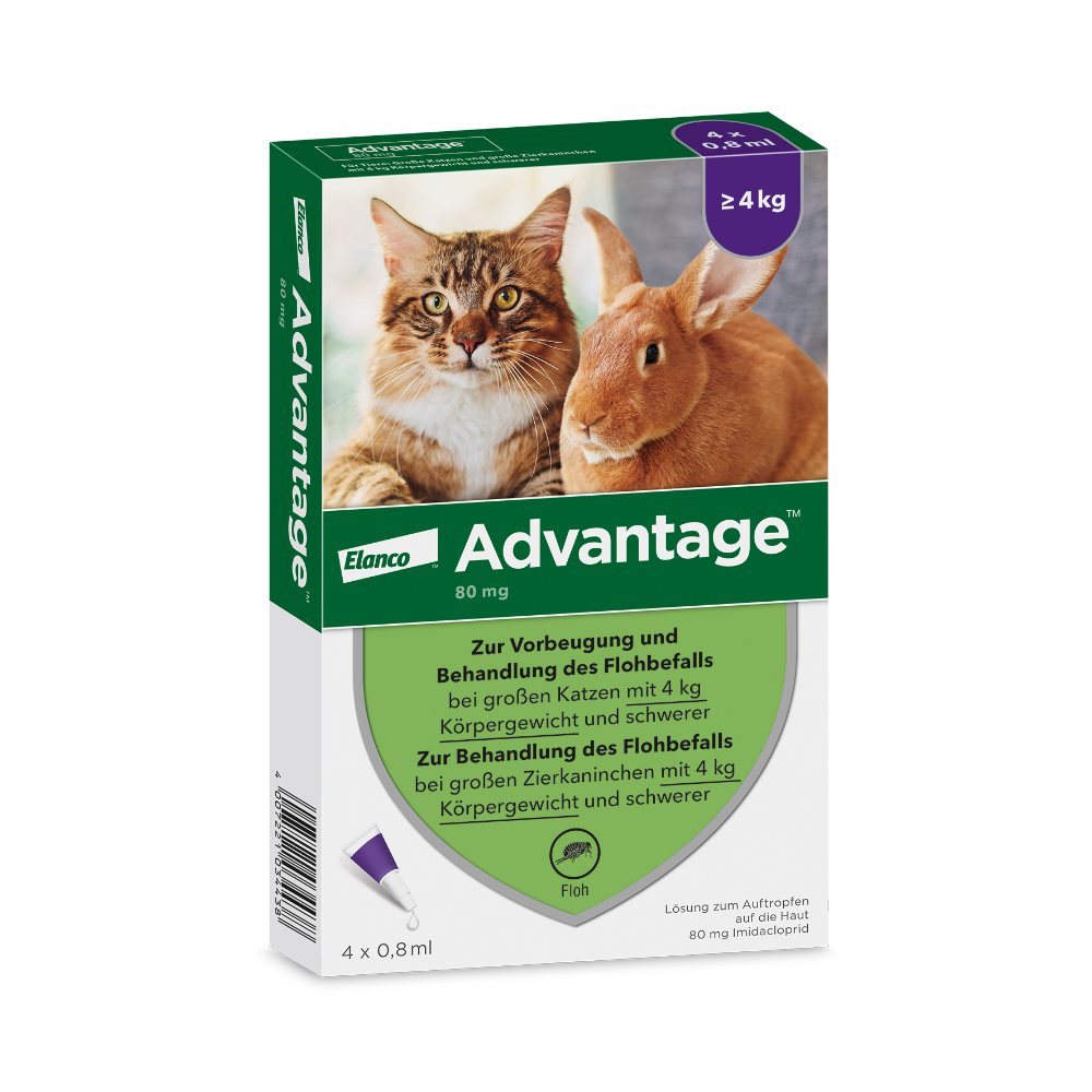 Advantage® für Katzen und Zierkaninchen  - Sparpaket: 8 Pipetten x 0,8 ml (> 4kg) von Advantage