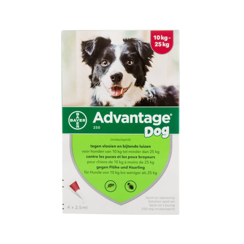 Advantage 100 Hund - 4-10 kg - 4x 1 ml von Advantage