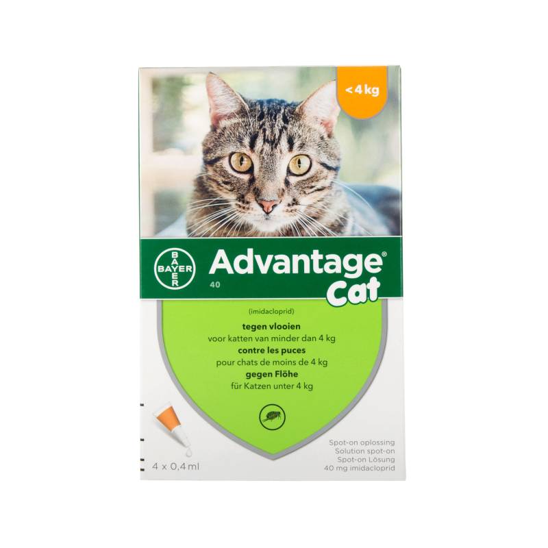 Advantage 40 Katze < 4 kg - 4 Pipetten von Advantage