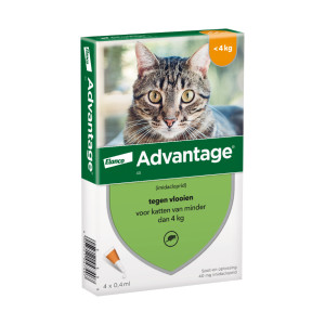 Advantage Nr. 40, Flohmittel für Katzen 1 Packung von Advantage