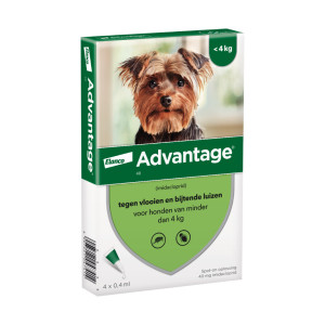 Advantage Nr. 40 Flohmittel (bis 4 kg) Hund 1 Packung von Advantage