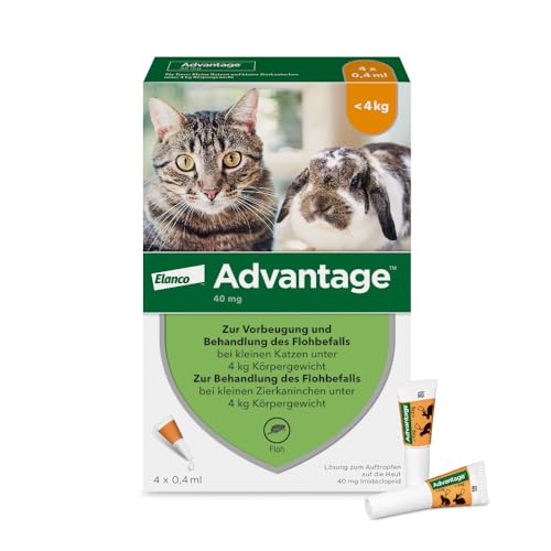 Elanco Advantage Spot-On 40 für kleine Katzen und Zierkaninchen bis 4 kg, wirksamer Schutz vor Flöhen und Flohbefall bis 4 Wochen, einfache Spot-on-Anwendung, 4 Pipetten mit 0,4 ml Lösung Elanco Advantage Spot-On 40 für kleine Katzen und Zierkaninchen bis 4 kg, wirksamer Schutz vor Flöhen und Flohbefall bis 4 Wochen, einfache Spot-on-Anwendung, 4 Pipetten mit 0,4 ml Lösung von Advantage
