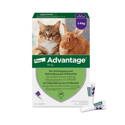 Elanco Advantage Spot-On 80 für große Katzen und Zierkaninchen ab 4 bis 8 kg, wirksamer Schutz vor Flöhen und Flohbefall bis 4 Wochen, einfache Spot-on-Anwendung, 4 Pipetten mit 0,8 ml Lösung Elanco Advantage Spot-On 80 für große Katzen und Zierkaninchen ab 4 bis 8 kg, wirksamer Schutz vor Flöhen und Flohbefall bis 4 Wochen, einfache Spot-on-Anwendung, 4 Pipetten mit 0,8 ml Lösung von Advantage