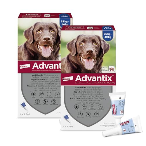 Advantix Sparset: Elanco Spot-On für große Hunde von 25 bis 40 kg gegen Zecken, Sandmücken, Stechmücken, Stechfliegen und Flöhe: Wirkung bis zu 4 Wochen, 2 x 4 Pipetten Packung Advantix Sparset: Elanco Spot-On für große Hunde von 25 bis 40 kg gegen Zecken, Sandmücken, Stechmücken, Stechfliegen und Flöhe: Wirkung bis zu 4 Wochen, 2 x 4 Pipetten Packung von Advantix