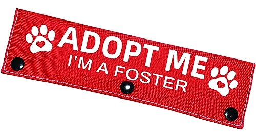 Advivio Adopt Me I'm A Foster Leash Sleeve Wrap, Red Leash Cover for Dog Adoption, Dog Gift for Foster Parents Dog Owner, Dog Rescue Gift von Advivio