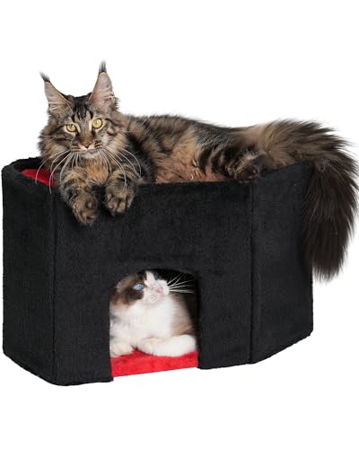Gothic Katzenbaum von Aechonow