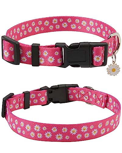 Aecllcea Niedliches Hundehalsband für kleine Hunde, kleine Hundehalsband für Damen und Herren, Junge und Mädchen Hundehalsbänder, Frühlings-Hundehalsband, Hundehalsbänder männliche und weibliche von Aecllcea