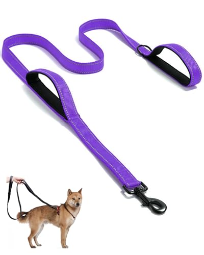 Aeclleca Hundeleine mit weichem Griff, reflektierend, mit 2 gepolsterten Griffen, 1,5 m, robuste Hundeleine für mittelgroße und große Hunde, komfortabler, rutschfester Griff und Aeclleca Hundeleine mit weichem Griff, reflektierend, mit 2 gepolsterten Griffen, 1,5 m, robuste Hundeleine für mittelgroße und große Hunde, komfortabler, rutschfester Griff und von Aecllcea