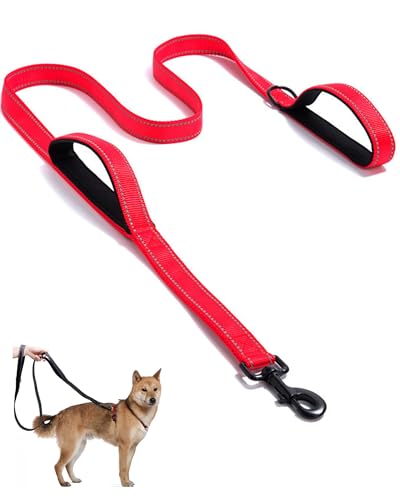 Aeclleca Hundeleine mit weichem Griff, reflektierend, mit 2 gepolsterten Griffen, 1,5 m, robuste Hundeleine für mittelgroße und große Hunde, komfortabler, rutschfester Griff und Aeclleca Hundeleine mit weichem Griff, reflektierend, mit 2 gepolsterten Griffen, 1,5 m, robuste Hundeleine für mittelgroße und große Hunde, komfortabler, rutschfester Griff und von Aecllcea