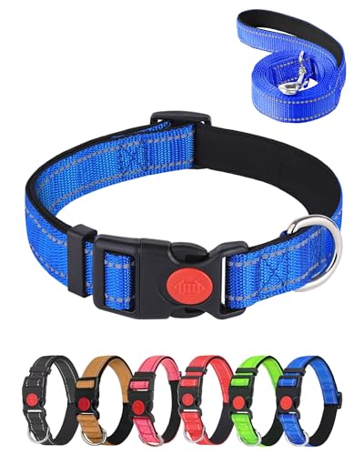 Aeclleca Reflektierendes Hundehalsband und Leine, Set mit Sicherheitsschnalle, verstellbar, weiches Nylon, Haustierhalsbänder für kleine, mittelgroße Hunde (Blau, XL) von Aecllcea