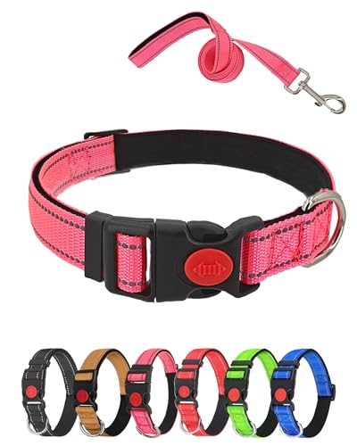 Aeclleca Reflektierendes Hundehalsband und Leine, Set mit Sicherheitsschnalle, verstellbar, weiches Nylon, Haustierhalsbänder für kleine, mittelgroße Hunde (Rosa, M) von Aecllcea