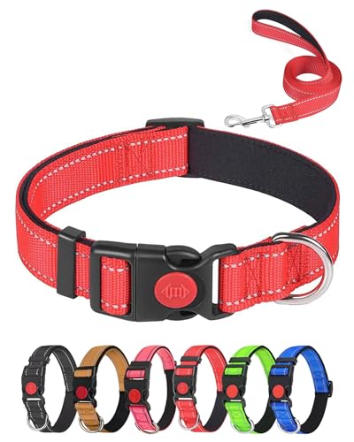 Aeclleca Reflektierendes Hundehalsband und Leine, Set mit Sicherheitsschnalle, verstellbar, weiches Nylon, Haustierhalsbänder für kleine, mittelgroße Hunde (Rot, S) von Aecllcea