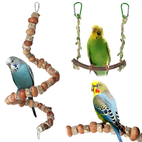 Wellensittich Spielzeug, 2 Stück Vogelspielzeug Papageienspielzeug Rattan-Schaukelständer zum Klettern und Zanthoxylum-Nüsse zum Kauen, Knabbern, hängende Spieße für Sittiche, Nymphensittiche Wellensittich Spielzeug, 2 Stück Vogelspielzeug Papageienspielzeug Rattan-Schaukelständer zum Klettern und Zanthoxylum-Nüsse zum Kauen, Knabbern, hängende Spieße für Sittiche, Nymphensittiche von Aedcbaide