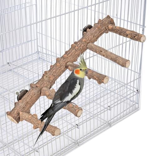 Vogelspielplatz, 12,2 Zoll Papageienholzständer für Käfig, Naturholz-Vogelsitzständer, Vogelsitzstangen, Vogelplattform, Vogelkäfigzubehör von Aelmiyw