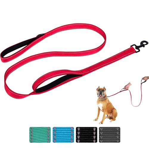 Aepeasti Hundeleine für mittelgroße bis große Hunde mit Zwei gepolsterten Griffen 5FT/6FT, Hundeleine mit Doppelgriff, reflektierende Trainingsleine, langlebige Verkehrsleine von aepeasti